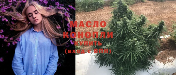 мдпв Галич
