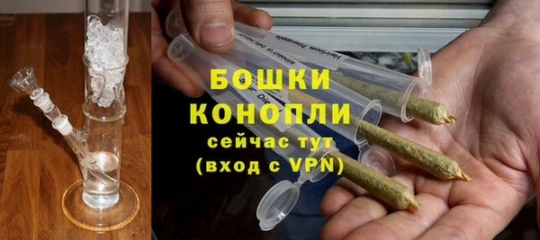 винт Гатчина