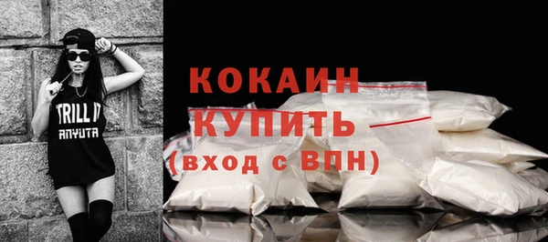 крисы Лабытнанги